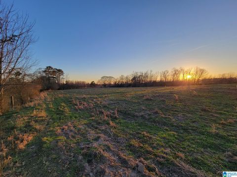2091 COUNTY ROAD 13 2091 COUNTY AL 35045