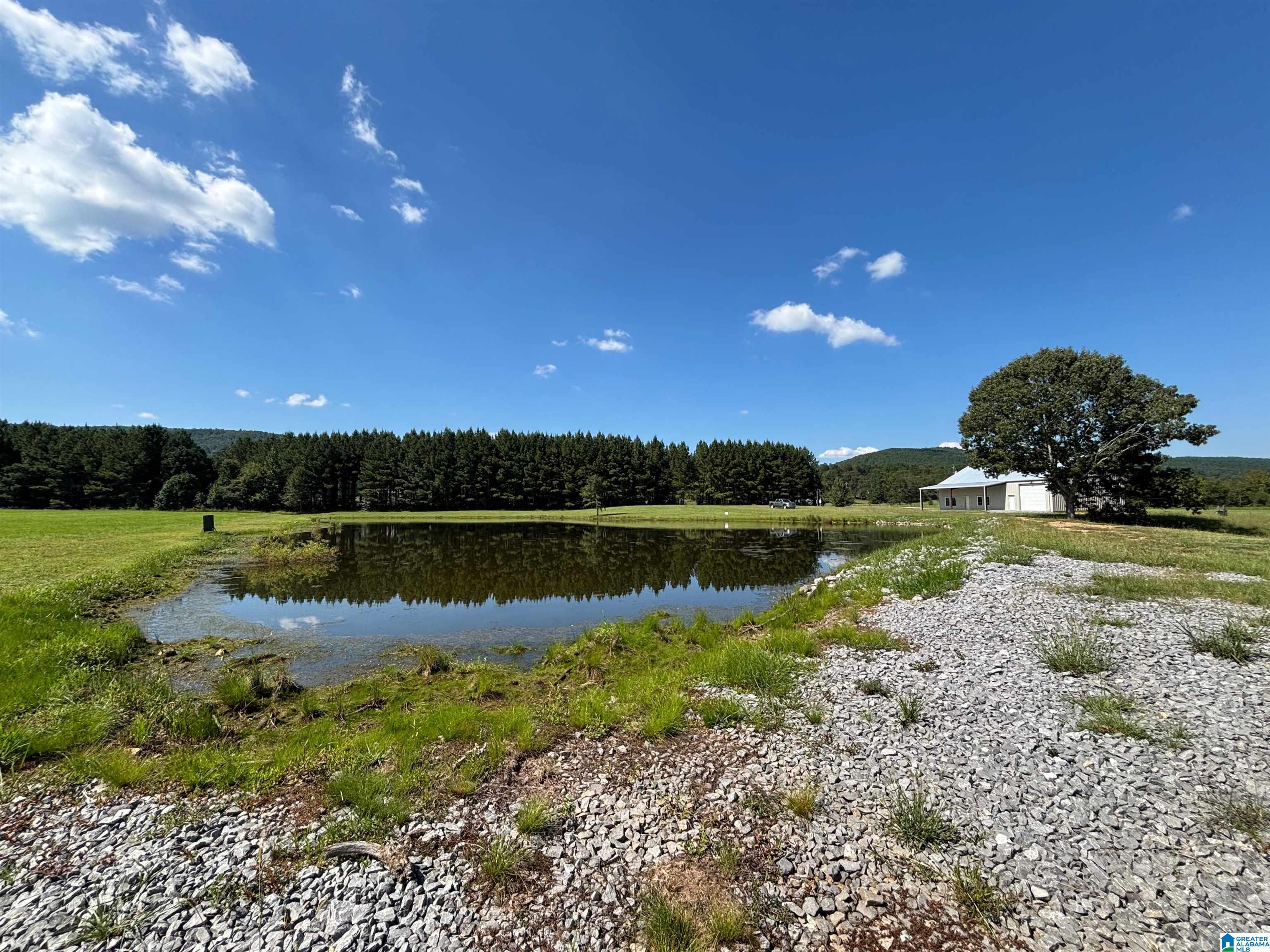 6150 SHOAL CREEK ROAD 124+/- Acres