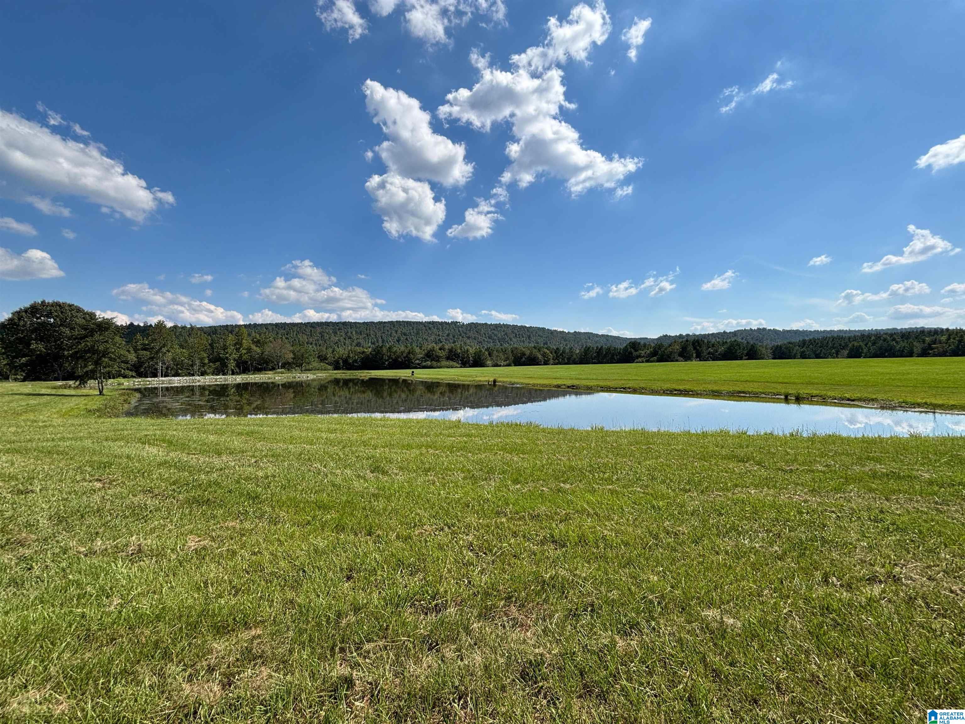 6150 SHOAL CREEK ROAD 124+/- Acres