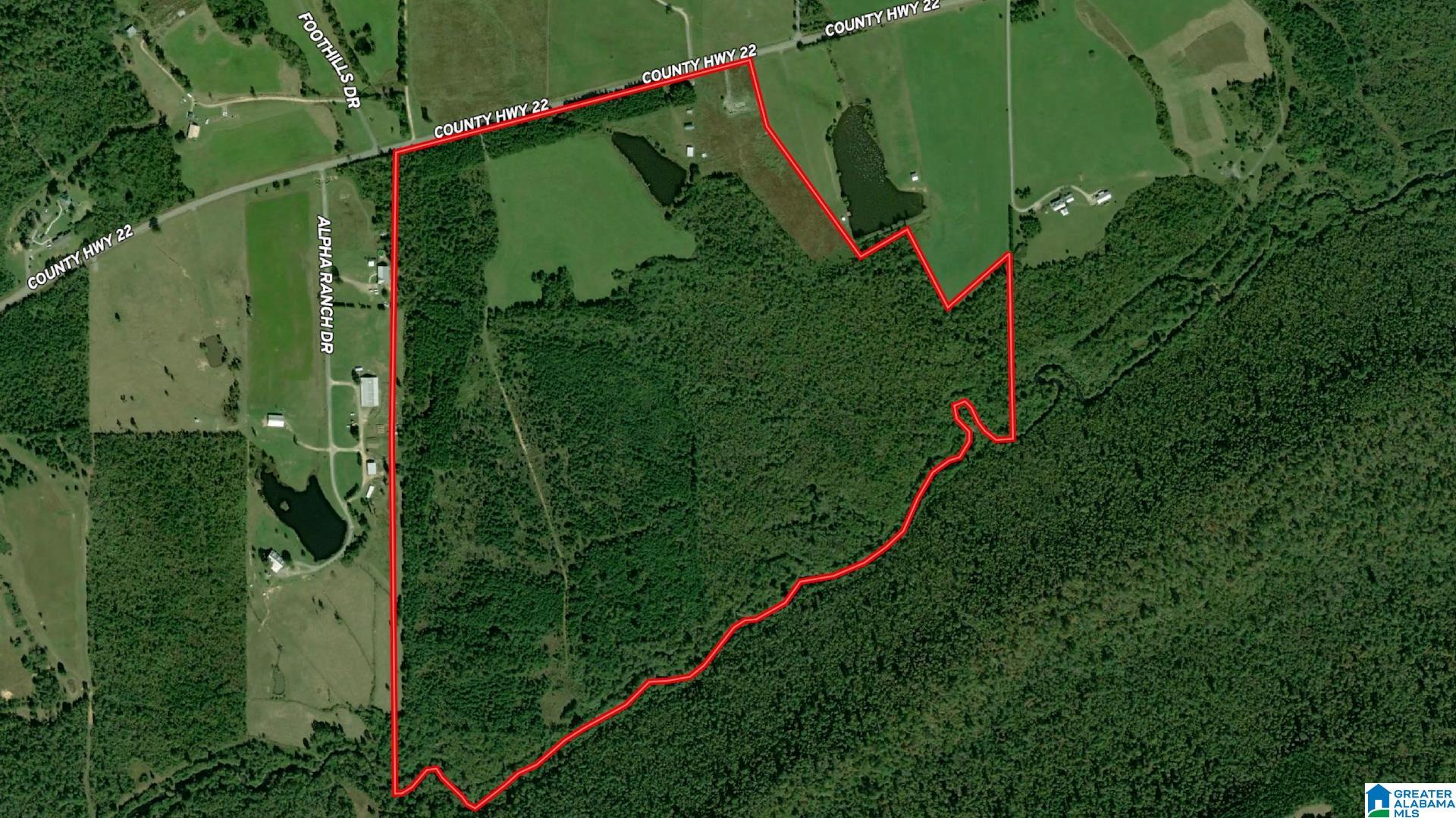 6150 SHOAL CREEK ROAD 124+/- Acres