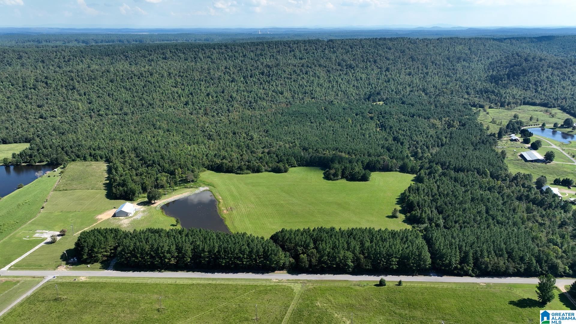 6150 SHOAL CREEK ROAD 124+/- Acres