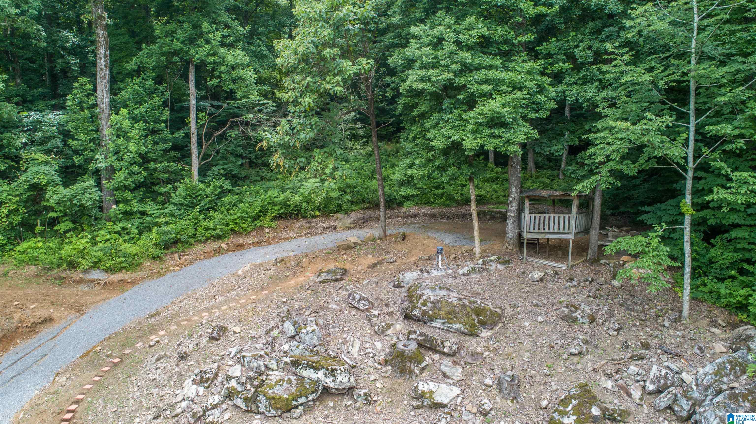 81 POPLAR LANE 38