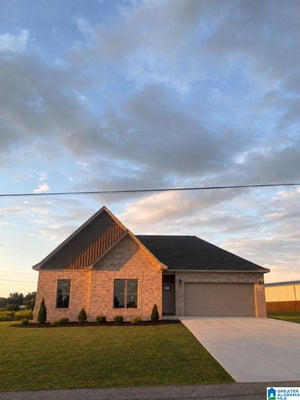 655 OLD HIGHWAY 20, TUSCUMBIA, AL 35674 - Image 584ccd3afaaf3e41c35bda6f2b019af8/4136922228