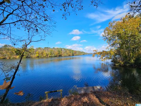 14536 PLANT ROAD 28 ALPINE AL 35014