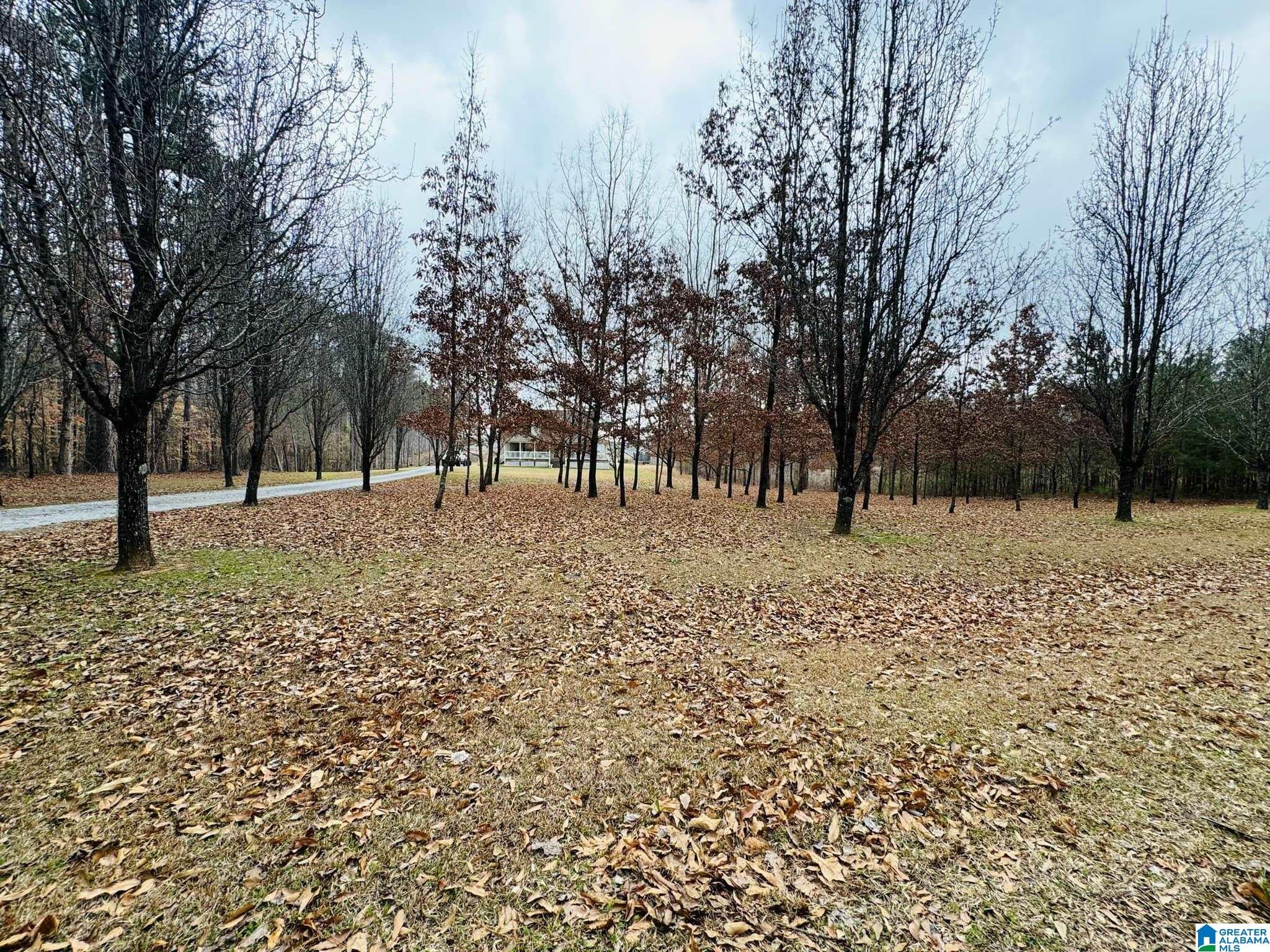 485 HUNTER ROAD