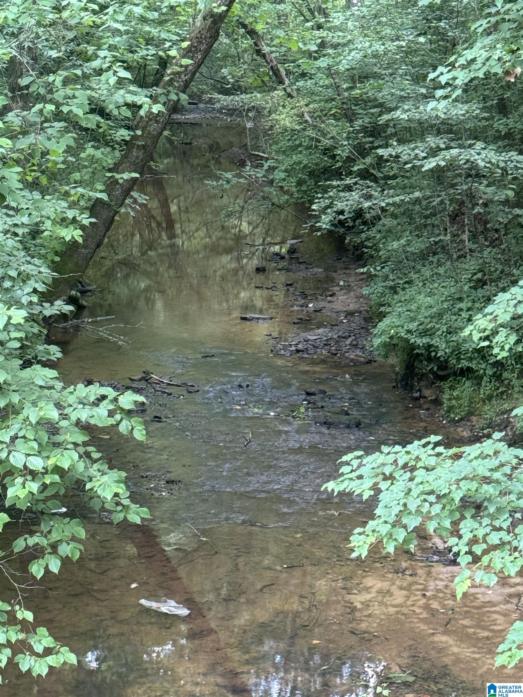Photo 1 of 7 — 17 ACRES HIGHWAY 144 17 Acres, RAGLAND, AL 35131