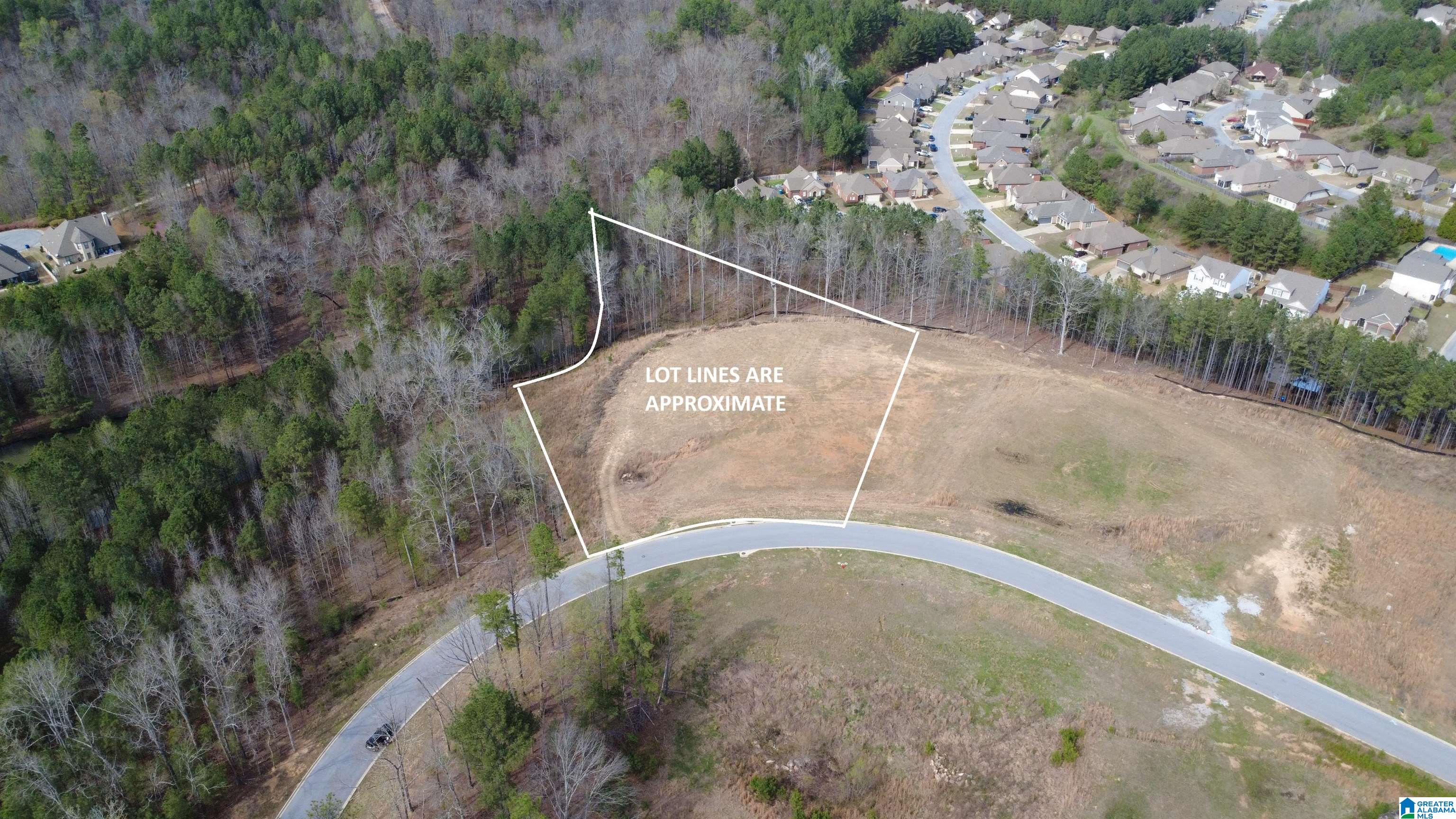Photo 1 of 6 — 335 FOOTHILLS PLACE 1, CHELSEA, AL 35043