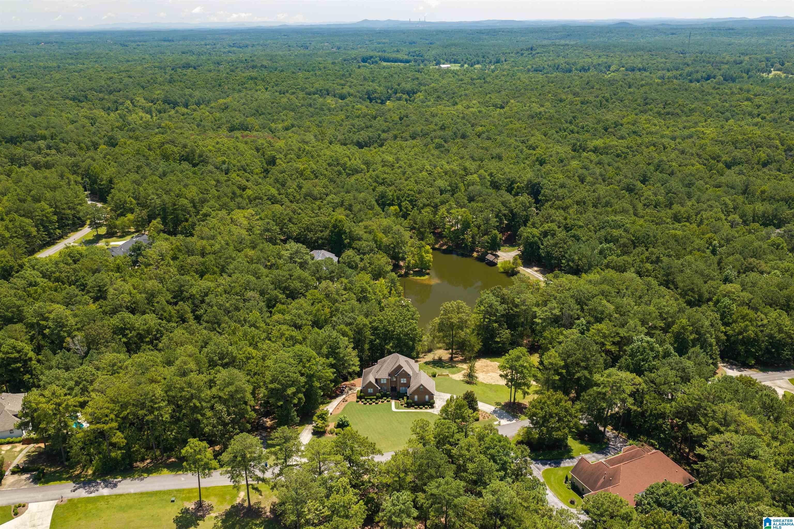 87 BONNIE BLUE LANE