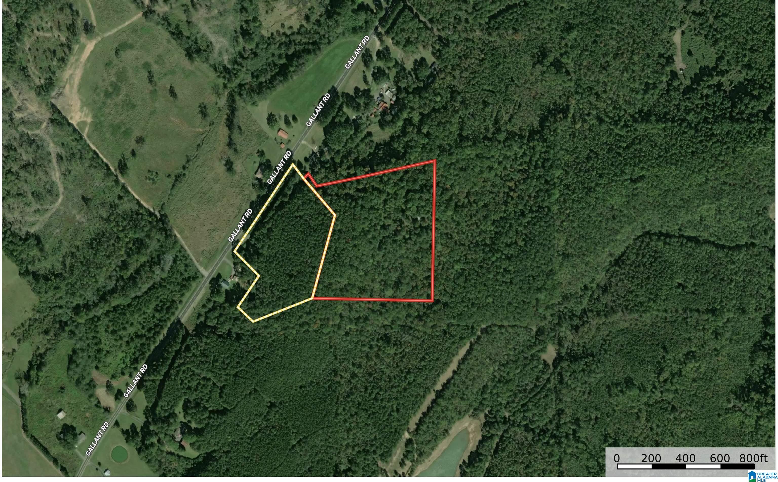 Photo 1 of 20 — GALLANT ROAD 17.6+/- Acres, GALLANT, AL 35972