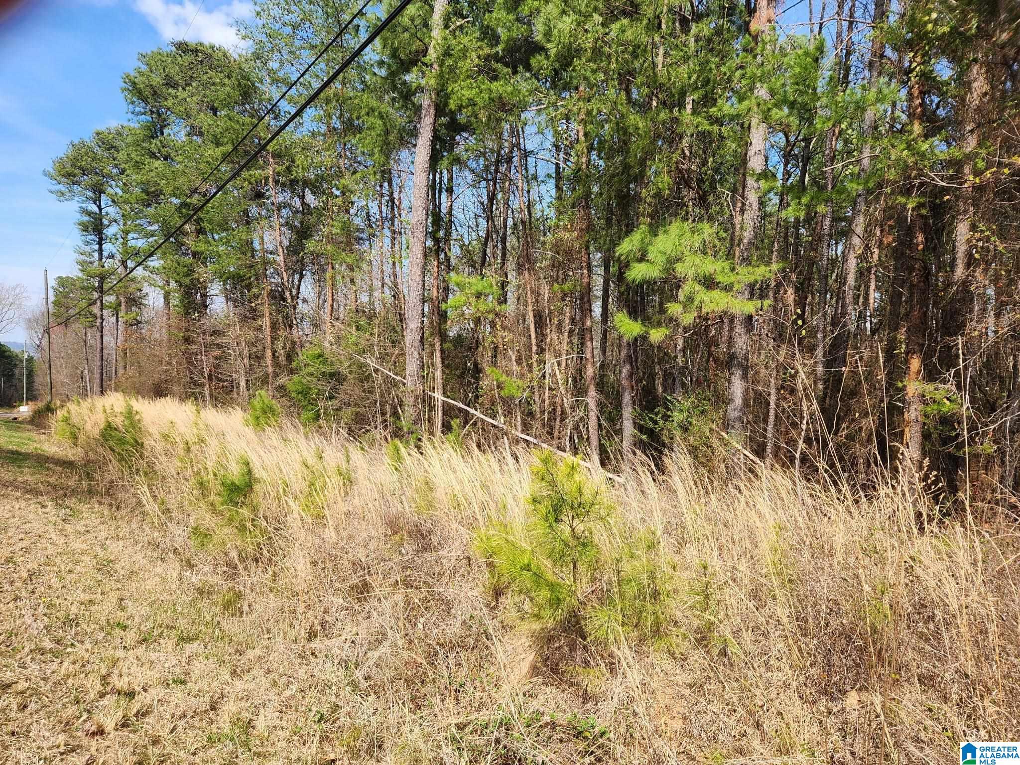 0 RED HILL SCHOOL ROAD 3.6 ACRES