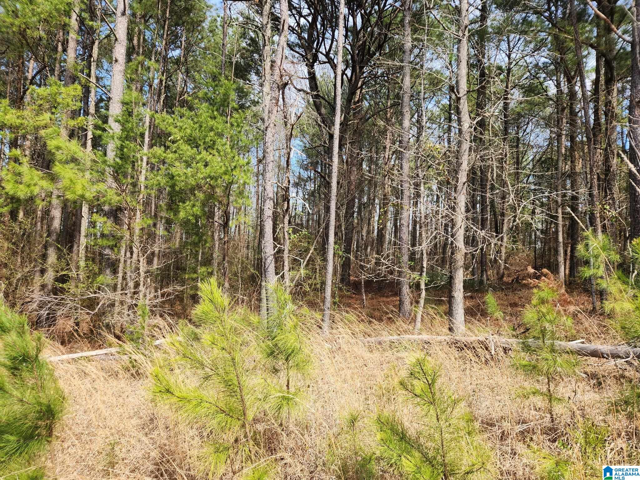 0 RED HILL SCHOOL ROAD 3.6 ACRES