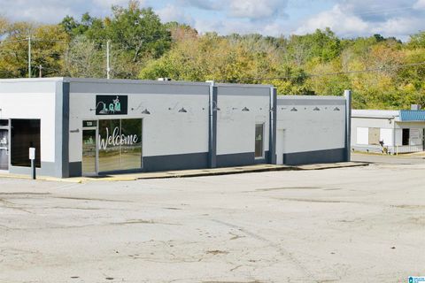 4099 SPRING STREET PINSON AL 35126