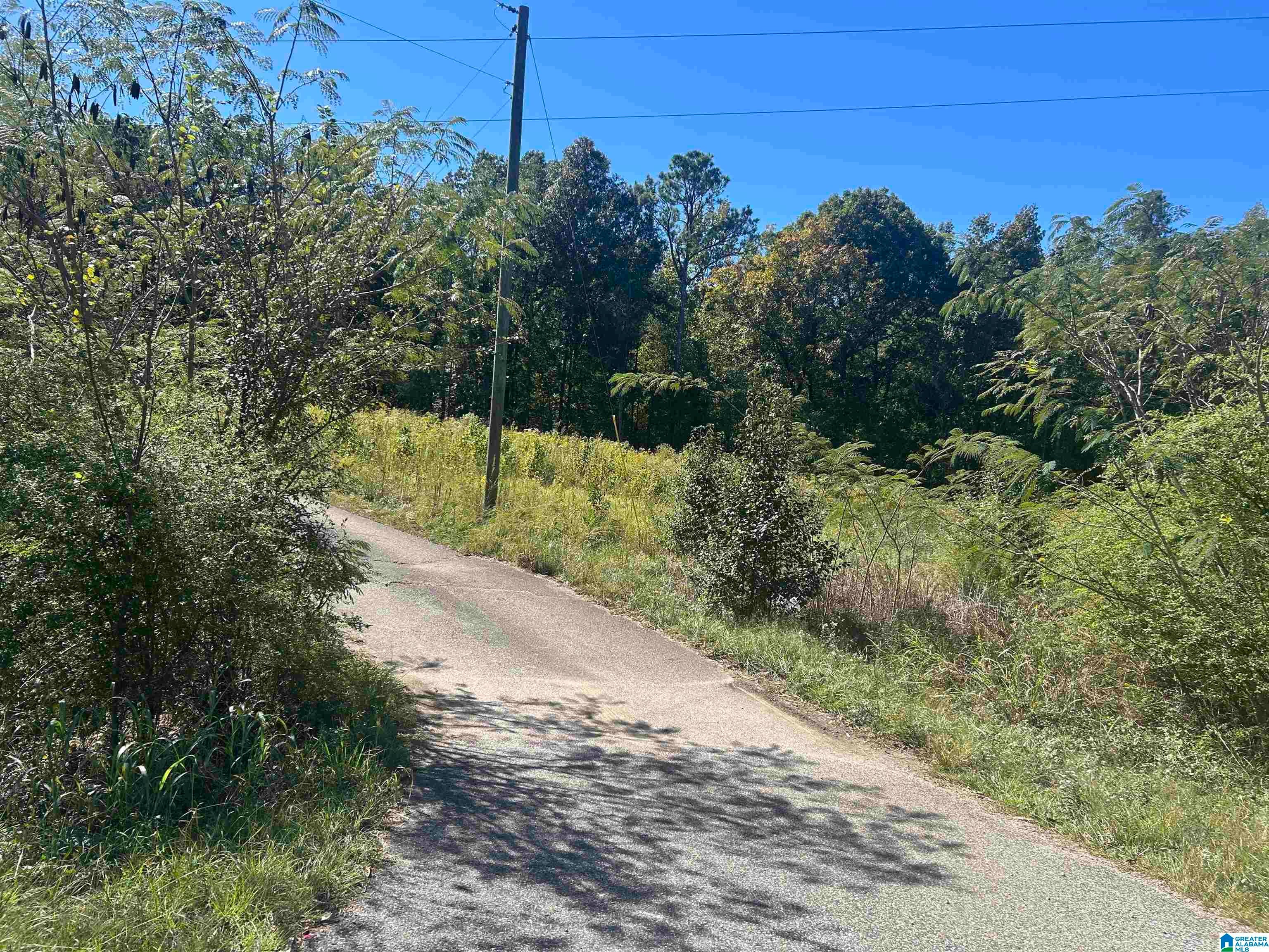 5600 MCASHAN DRIVE 3.8 Acres