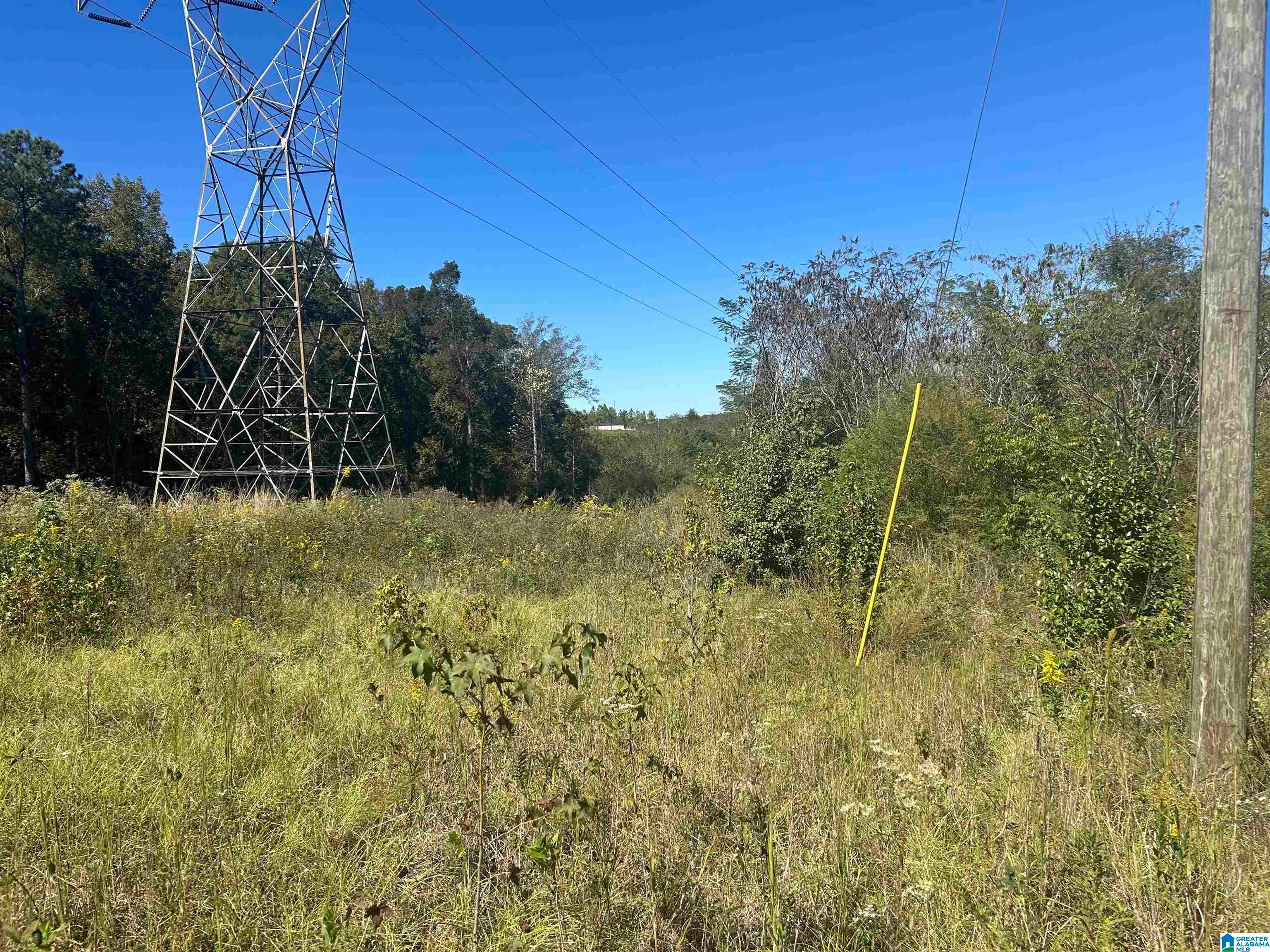 5600 MCASHAN DRIVE 3.8 Acres