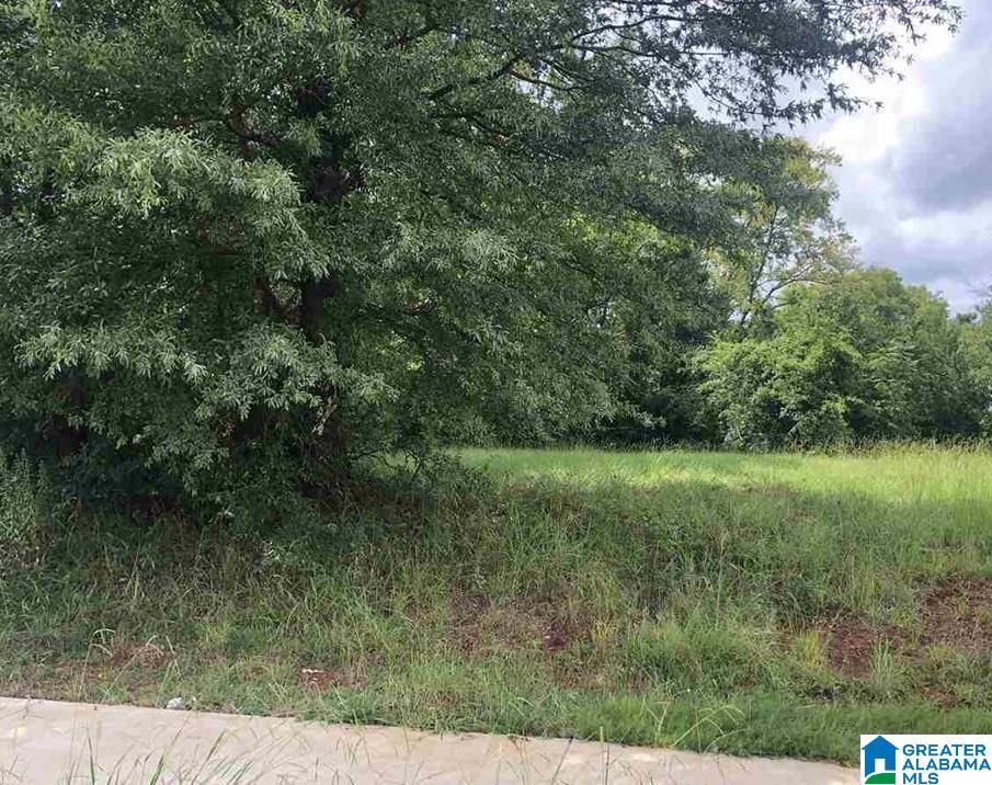 Photo 1 of 2 — 2820 ARLINGTON AVENUE 4, BESSEMER, AL 35020