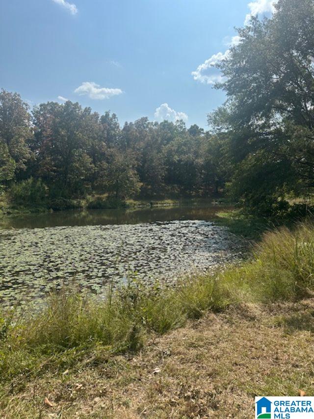 4893 COUNTY ROAD 39