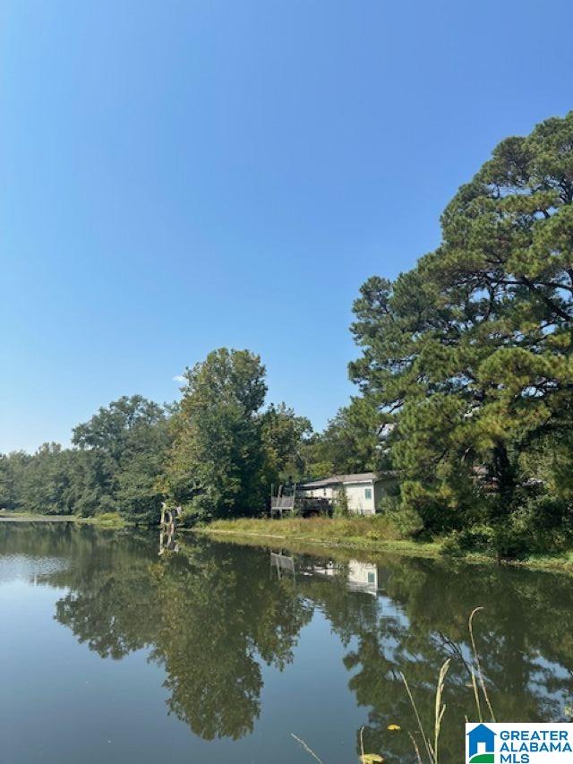 4893 COUNTY ROAD 39