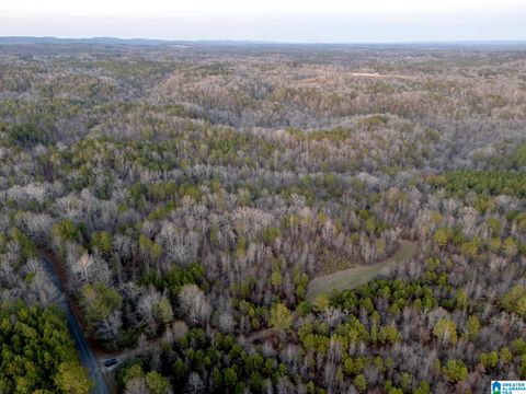 1500 RIVER ROAD 1 GARDENDALE AL 35071