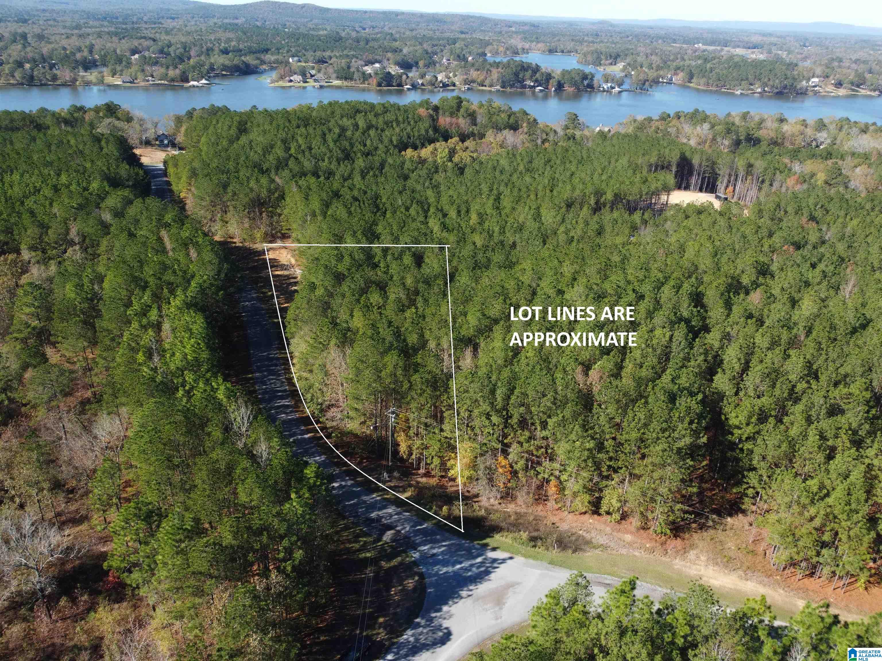 Lot 221 SHORE SIDE LANE 221