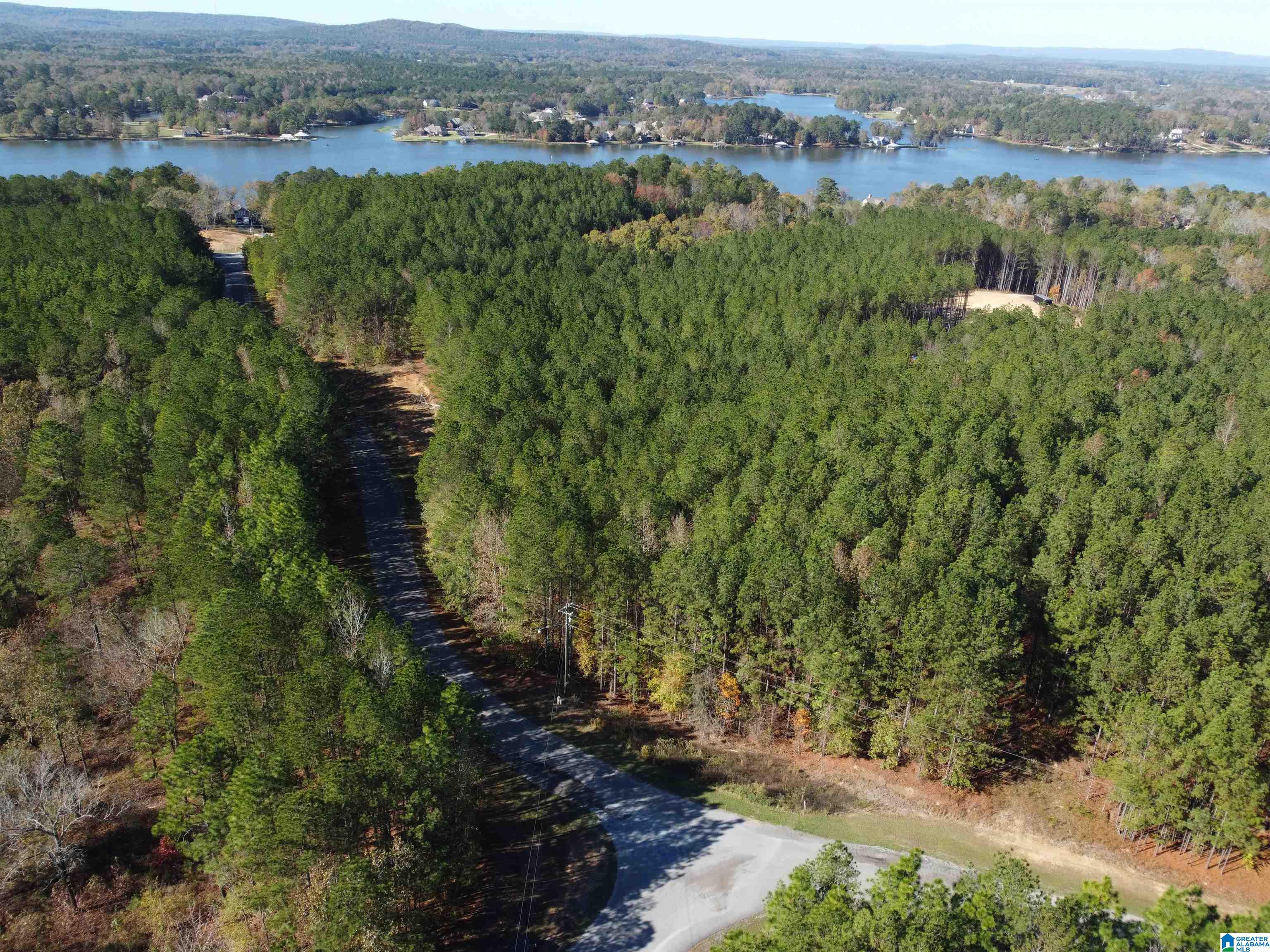Lot 221 SHORE SIDE LANE 221
