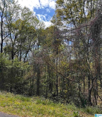 WRIGHT WAY DR, WEDOWEE, AL 36278 - Image 5c248cfb8cc29c995d7d6d32b1a4f0e2/204635934