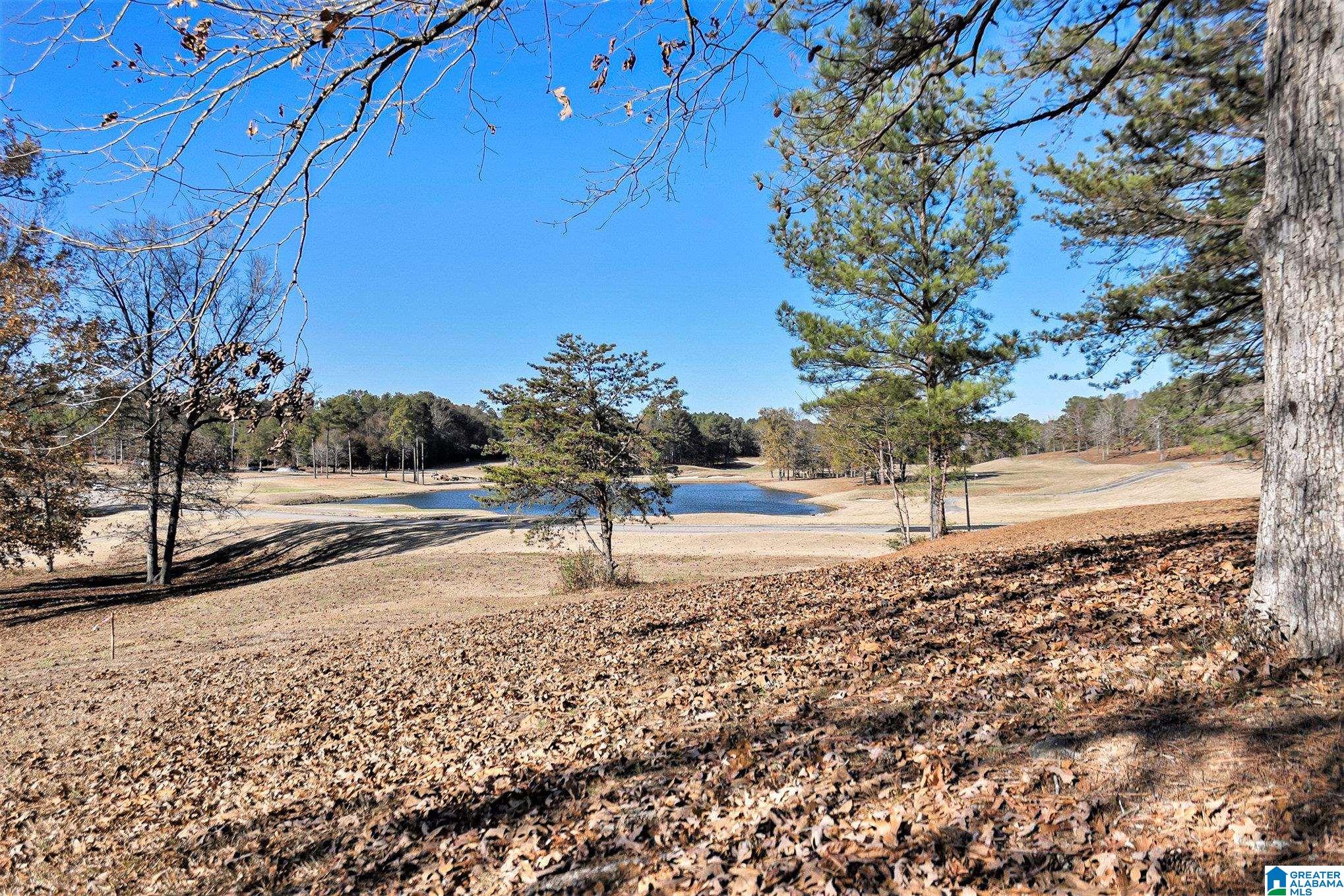 501 TIMBERLINE TRAIL 46
