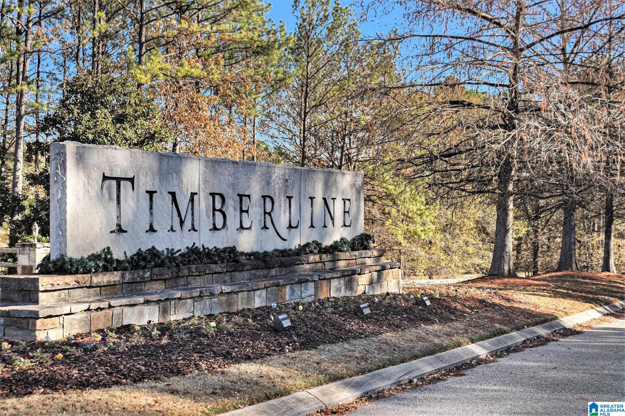 501 TIMBERLINE TRAIL 46