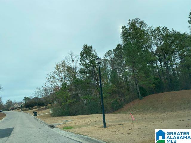 501 TIMBERLINE TRAIL 46