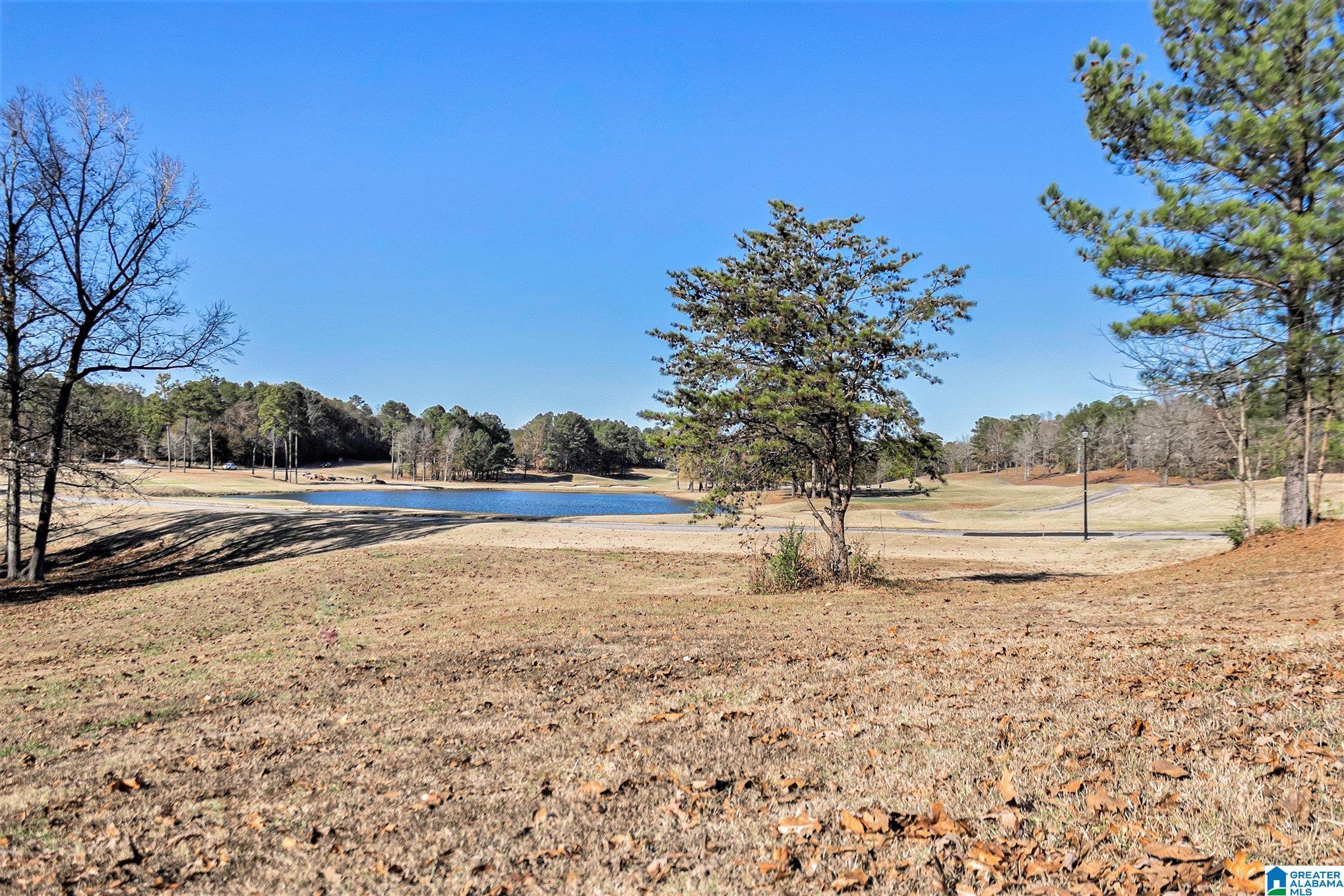 501 TIMBERLINE TRAIL 46