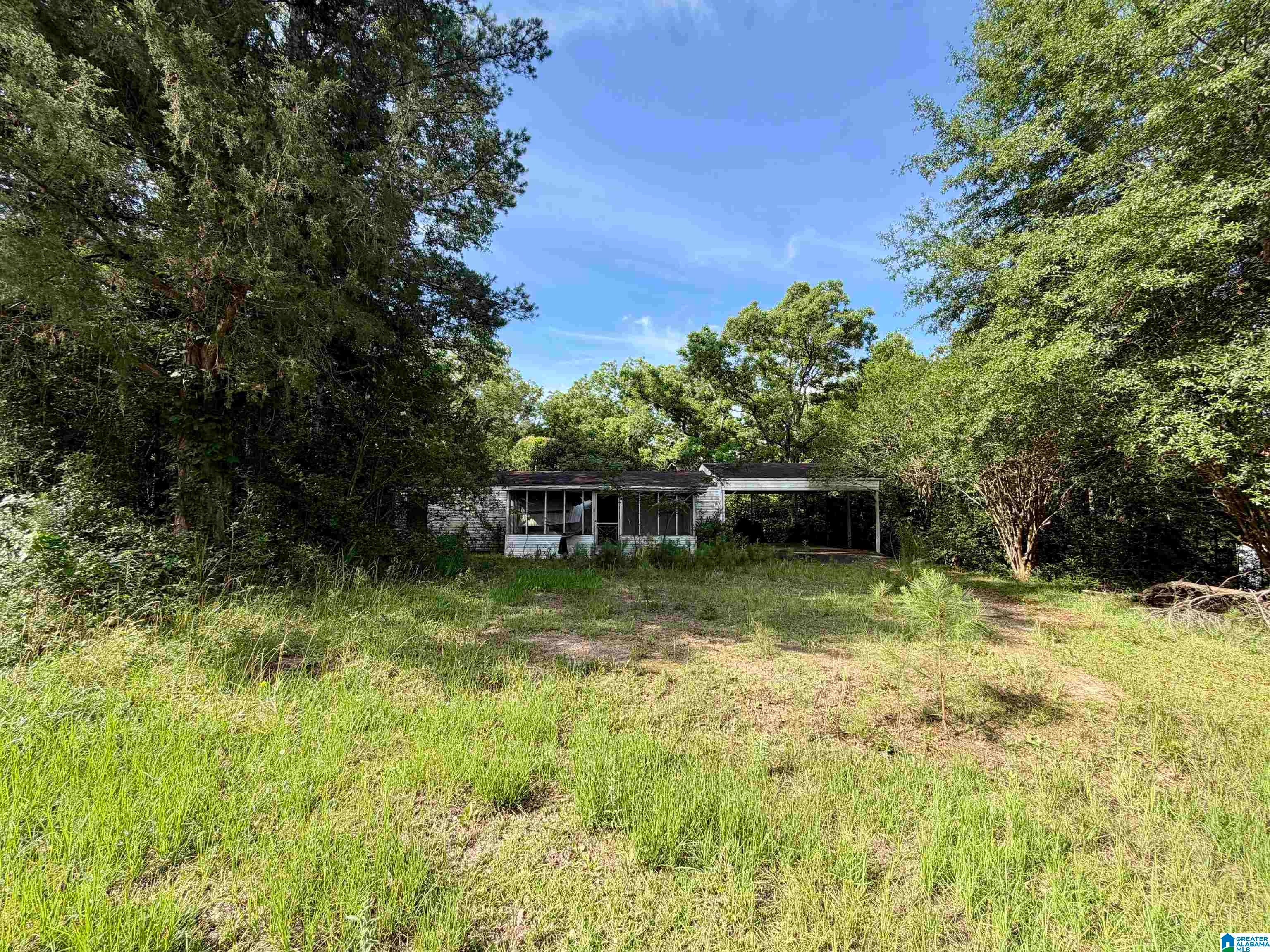31191 COUNTY ROAD 107 - Photo 2
