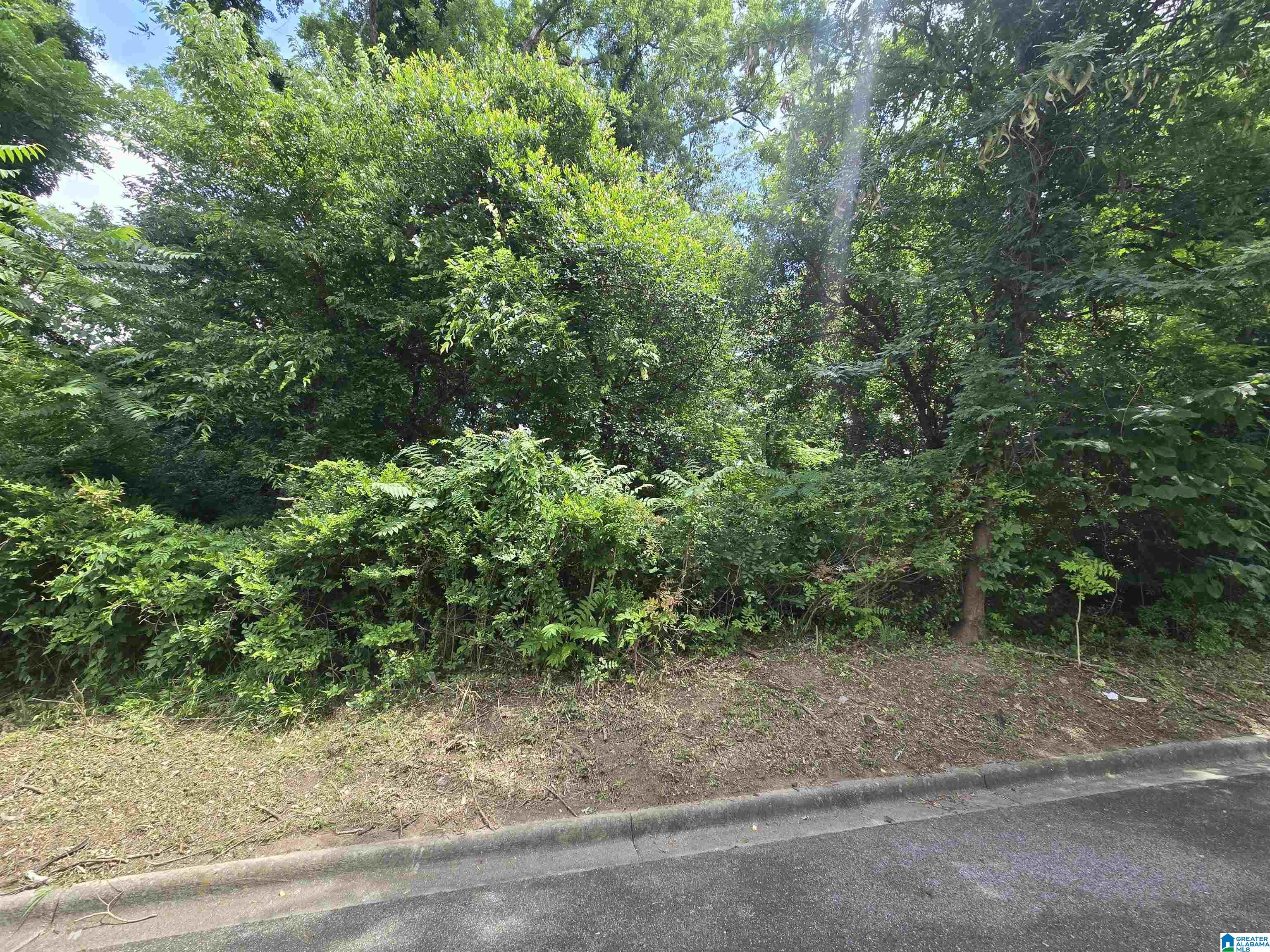 Photo 1 of 1 — 2511 17TH PLACE S 3, HOMEWOOD, AL 35209