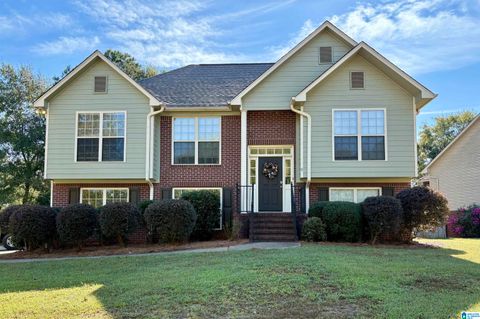 95 TRAPPERS WAY SPRINGVILLE AL 35146