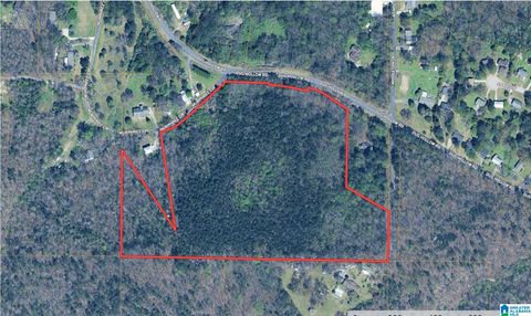 5317 DUG HOLLOW ROAD 1 PINSON AL 35126