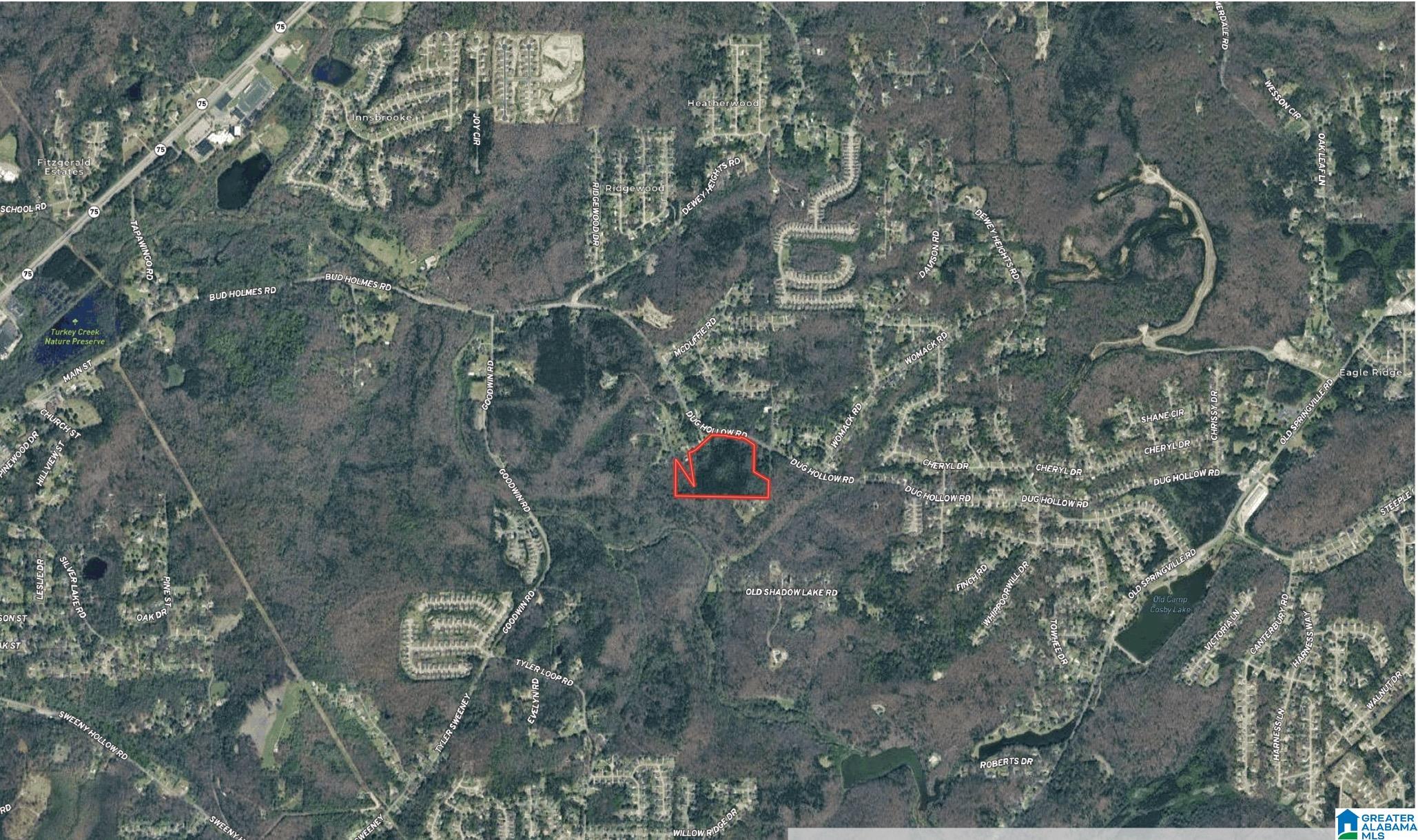 5317 DUG HOLLOW ROAD 1