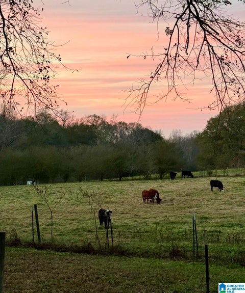 Photo of 545 County Road 437, GRAHAM, AL 36263 (MLS # 21465480)