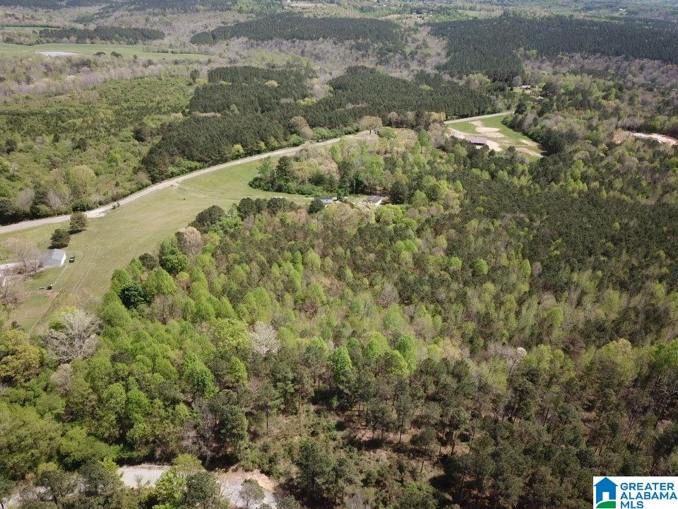 0 COUNTY ROAD 1061 0