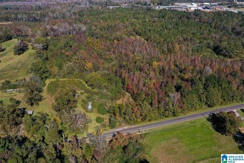 5710 COUNTY ROAD 754 2 parcels CLANTON AL 35045
