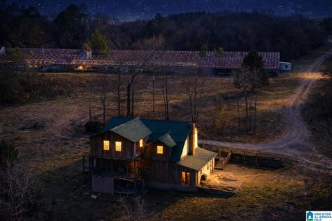 235 GRAHAM ROAD PELL CITY AL 35125