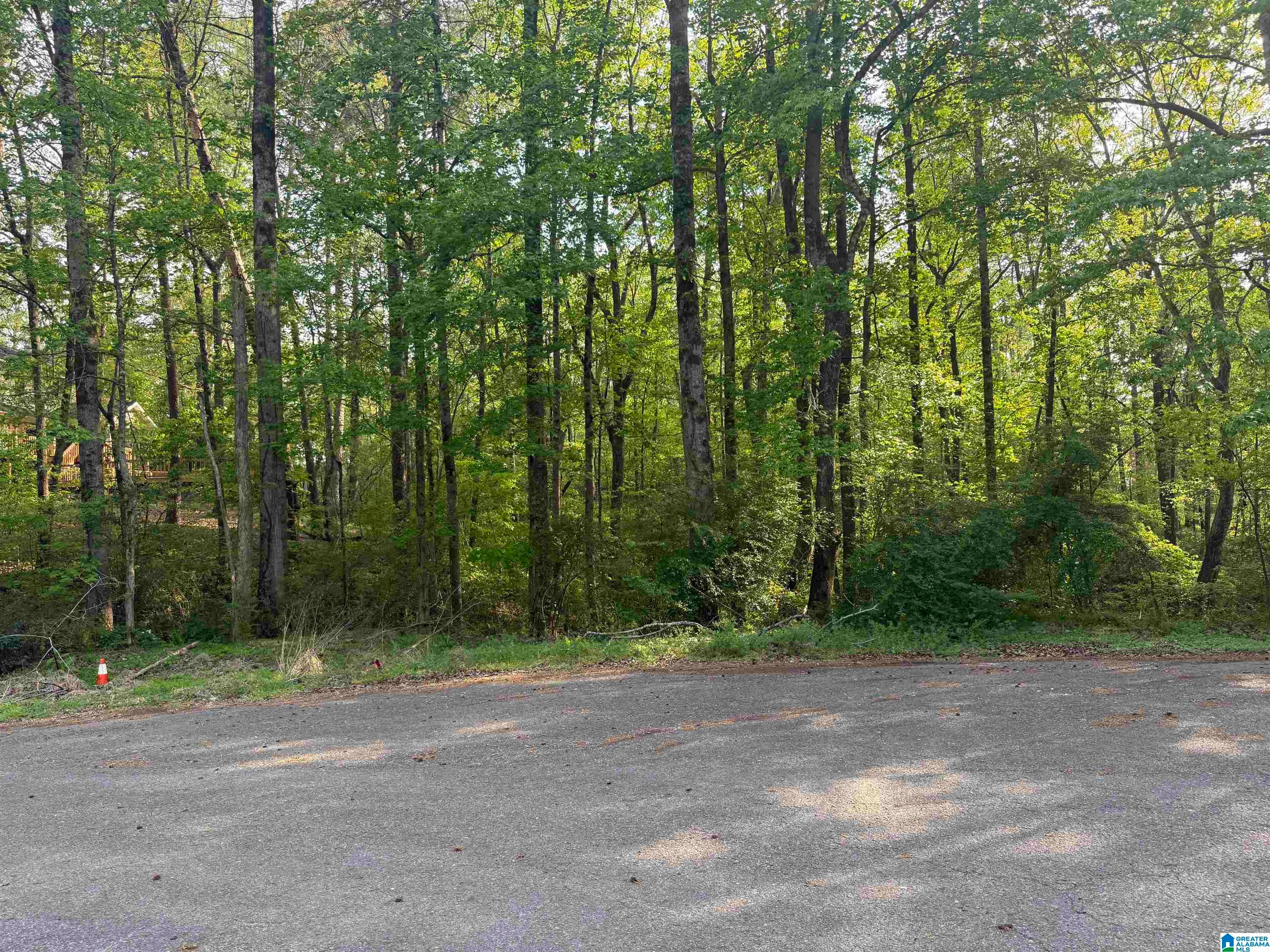 Photo 1 of 1 — 2097 EDENWOOD CIRCLE 12, BESSEMER, AL 35023