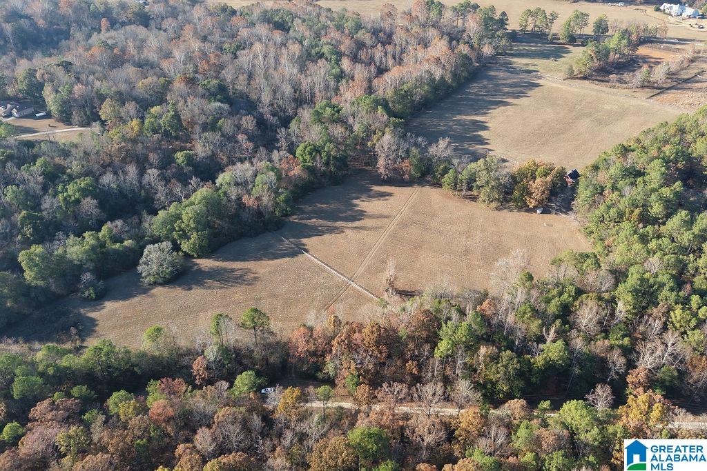 330 COUNTY ROAD 1055 1