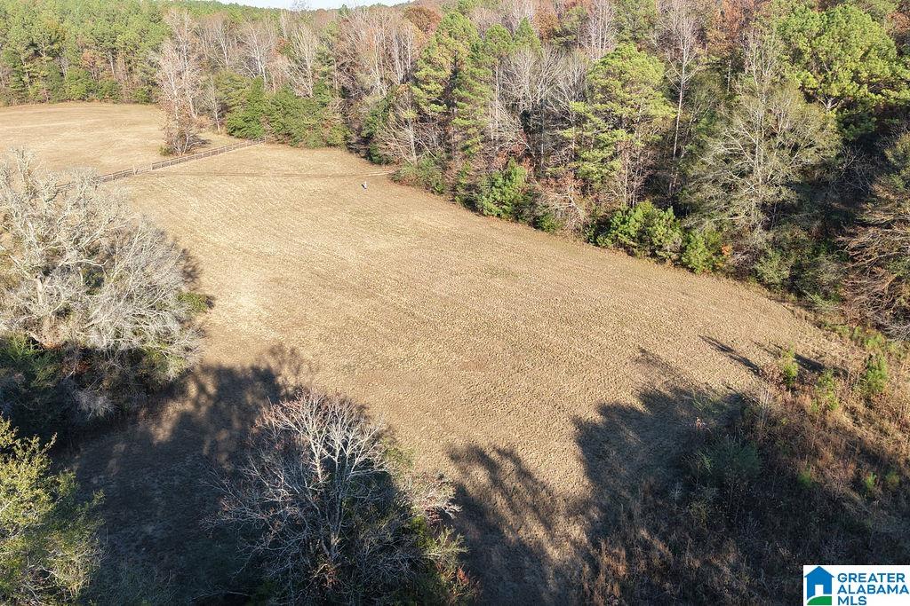 330 COUNTY ROAD 1055 1