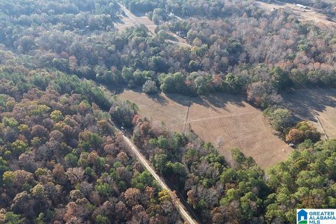 330 COUNTY ROAD 1055 1 MONTEVALLO AL 35115