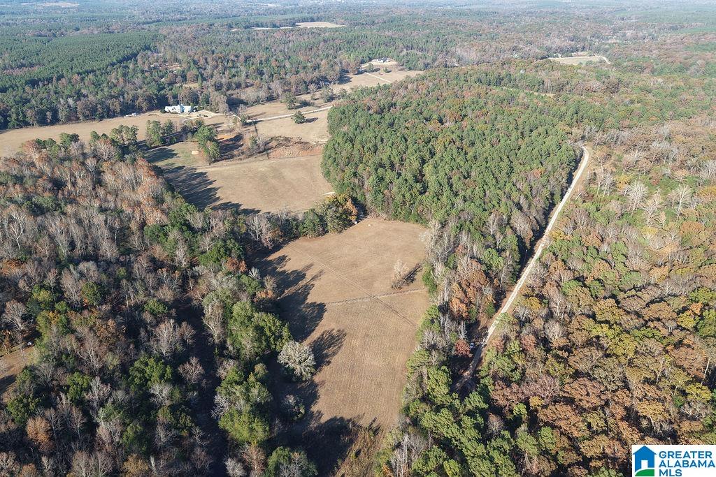 330 COUNTY ROAD 1055 1