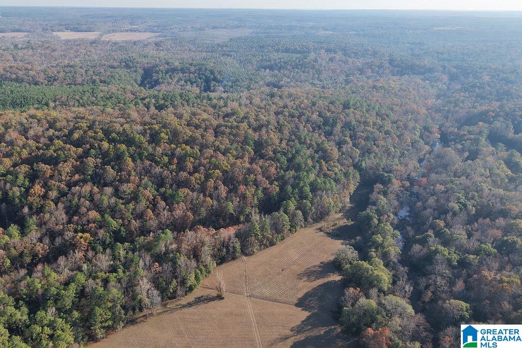 330 COUNTY ROAD 1055 1