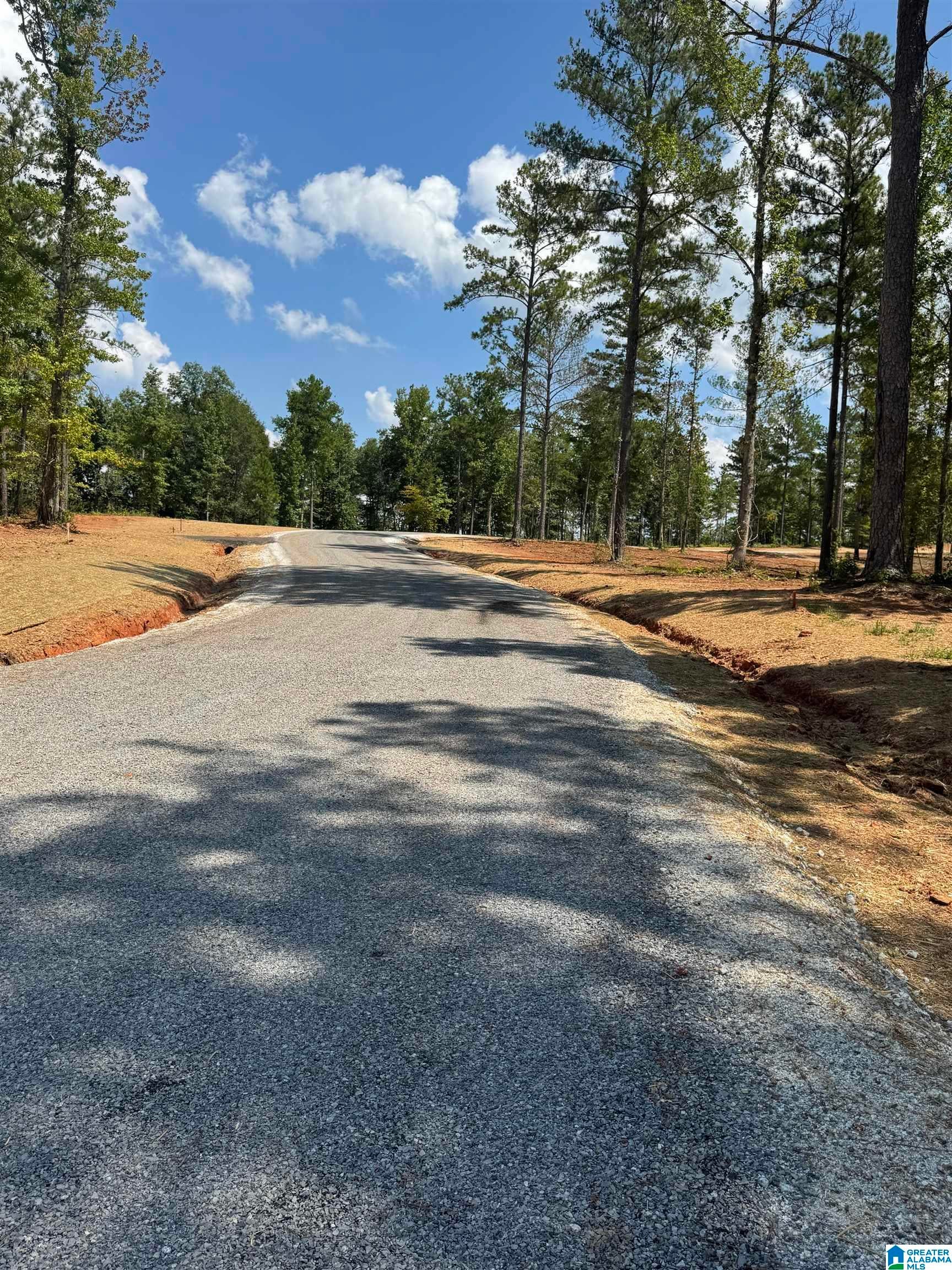Lot12 Cam's Cov OLD HIGHWAY 431 Lot 12