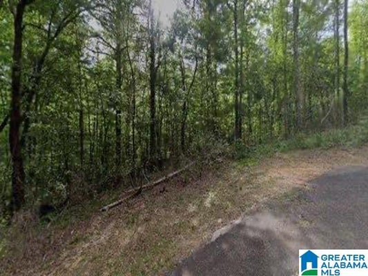 2467 CUNNINGHAM AVE, BIRMINGHAM, AL 35217 - Image 5fc9f571ea5e5a70d6e28bb1eaaf1d2f/709332089