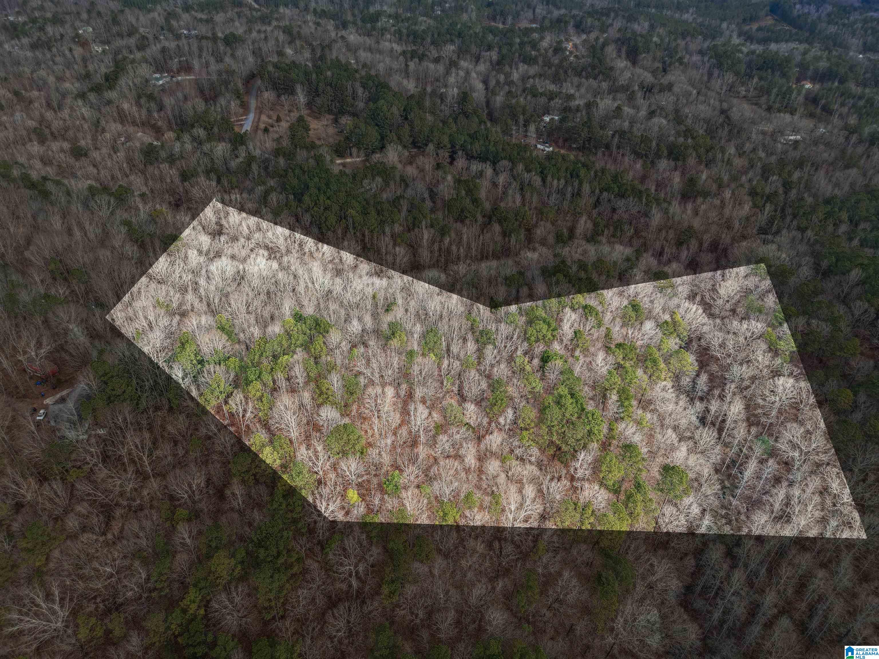 000 HILLVIEW DRIVE Lot 59 and 60 - Photo 2