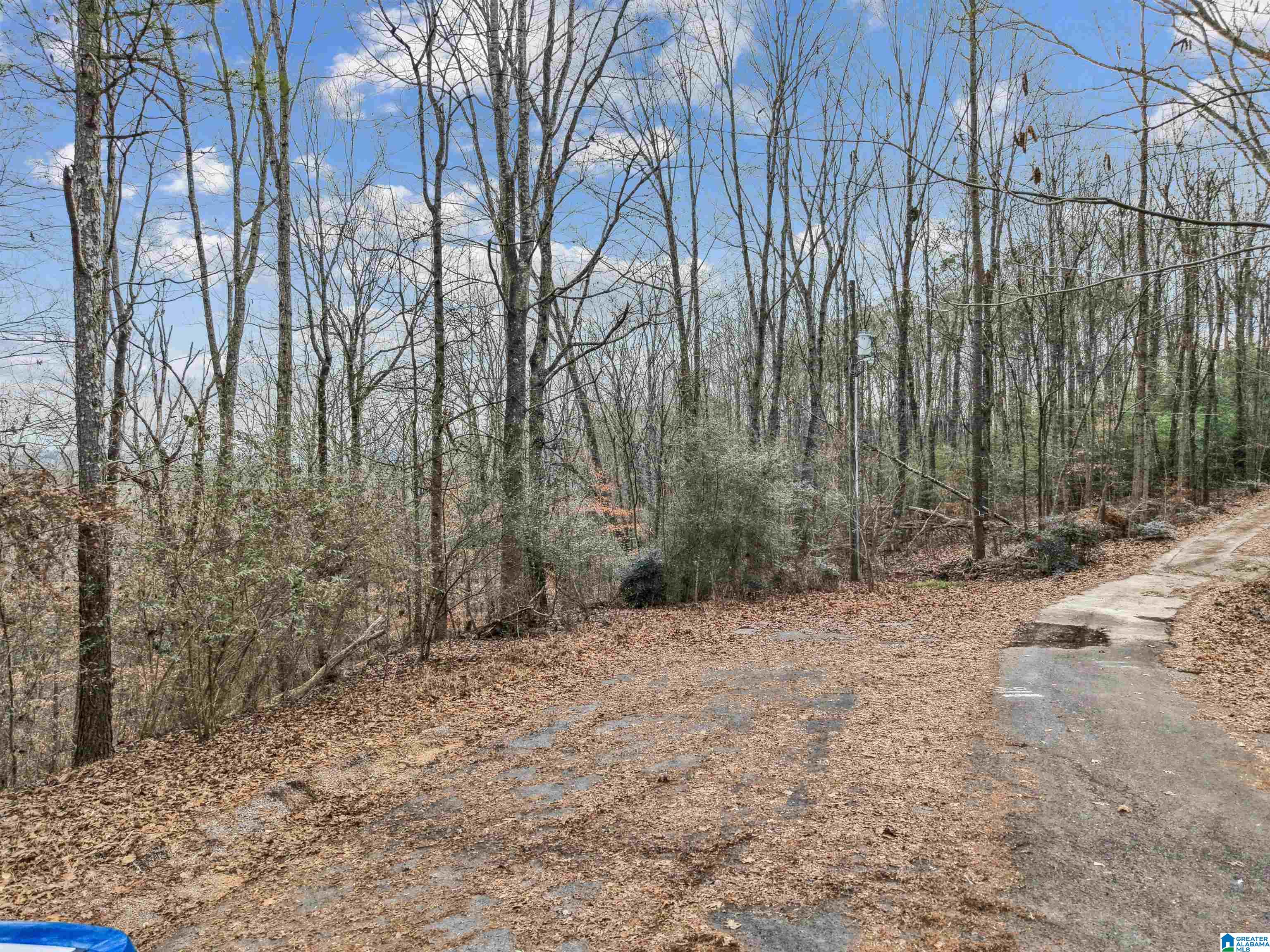 000 HILLVIEW DRIVE Lot 59 and 60 - Photo 3