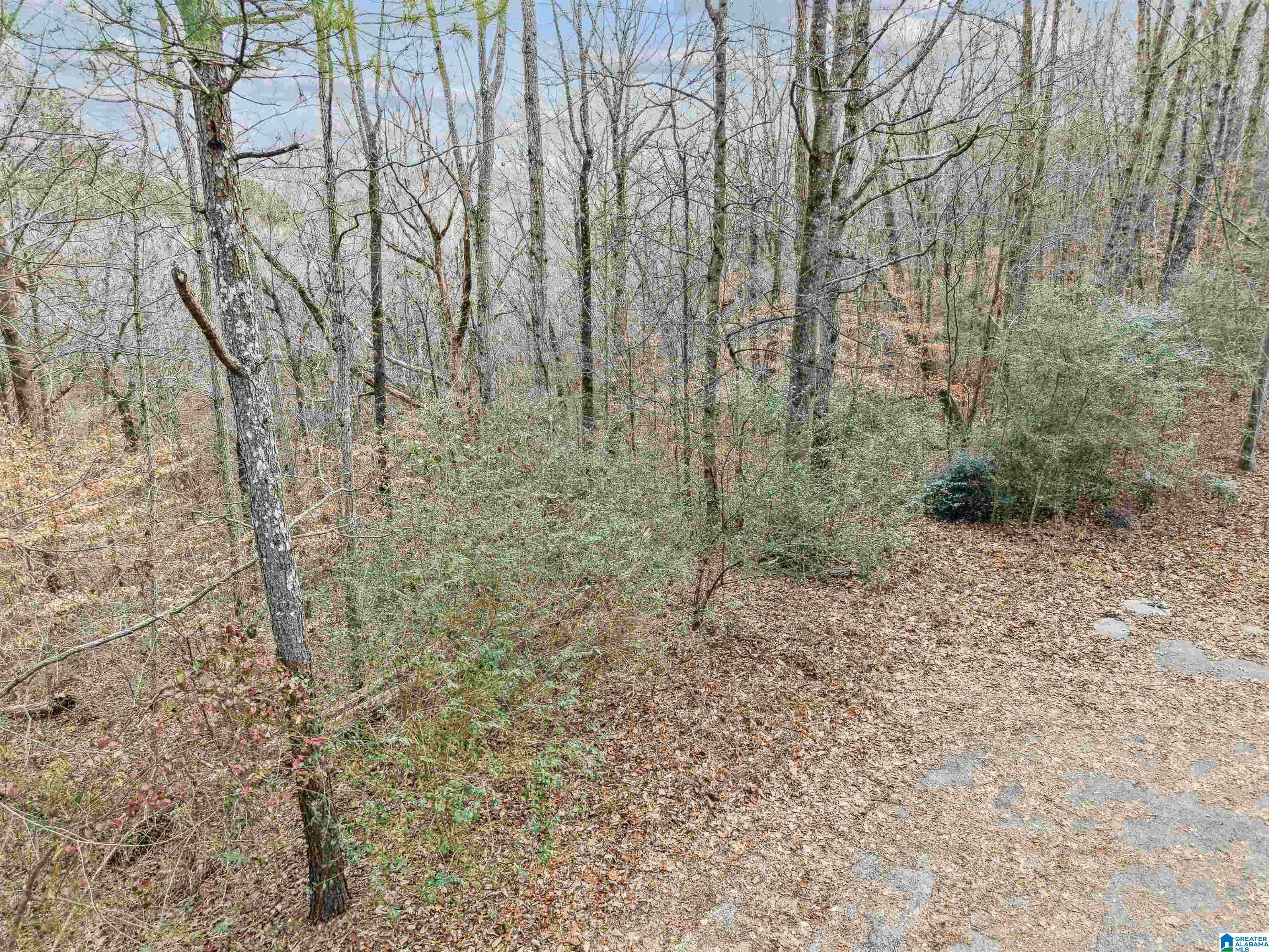 000 HILLVIEW DRIVE Lot 59 and 60 - Photo 4