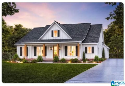 282 ROBINSON STREET SPRINGVILLE AL 35146